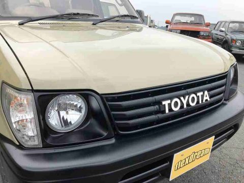 95プラド　TOYOTAロゴグリル　丸目ヘッドライト　　IPF